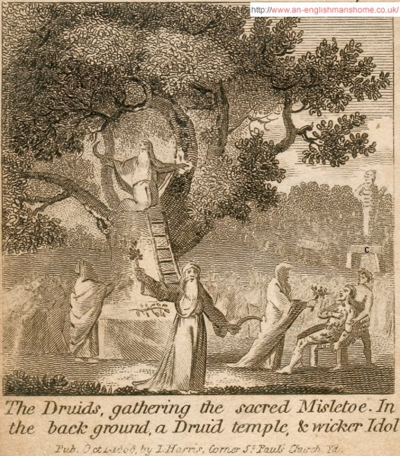 Druids collecting Mistletoe.