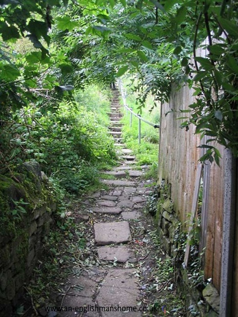 Carr Steps 2008
