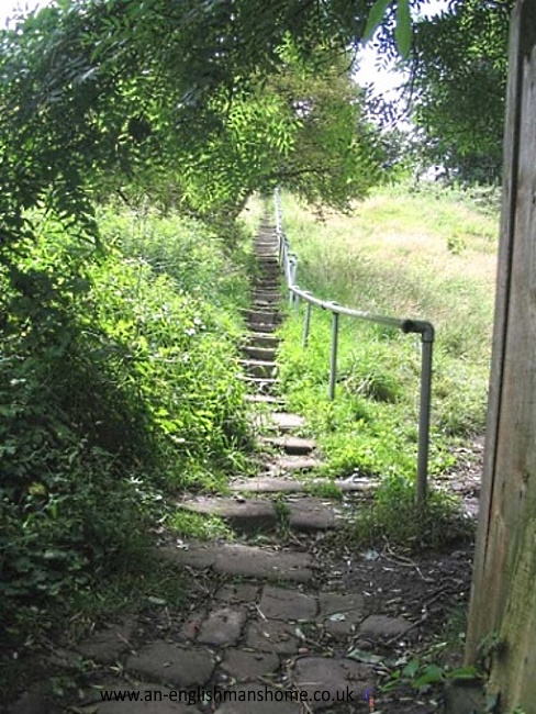 Carr Steps 2008
