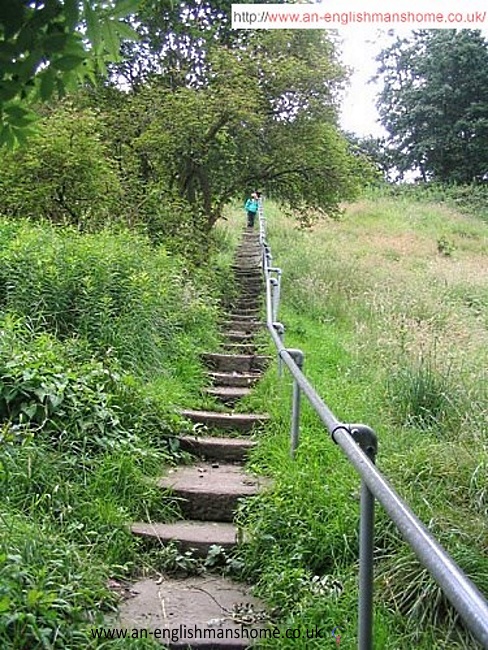 Carr Steps 2008
