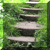 A few images of Carr Steps in 2008.