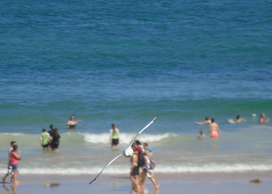 Bondi Beach Sydney 2015.