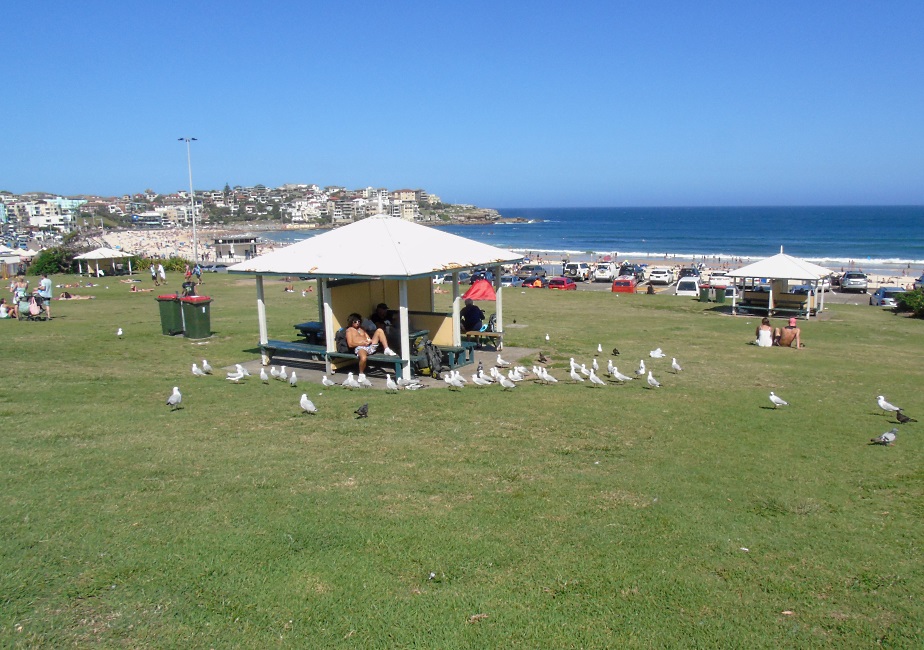 Bondi Beach Sydney 2015.