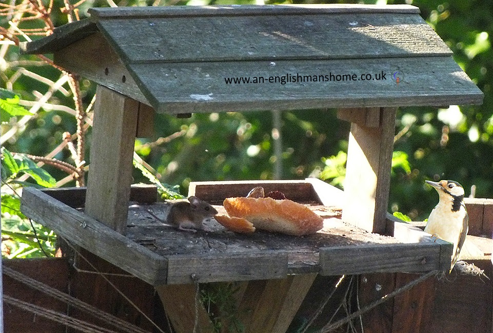 Sharing a Meal in France 2014.