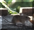 Sharing a Meal in France 2014.