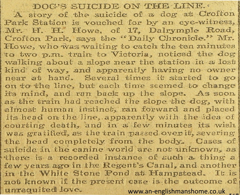 Dog commits suicide 1907.