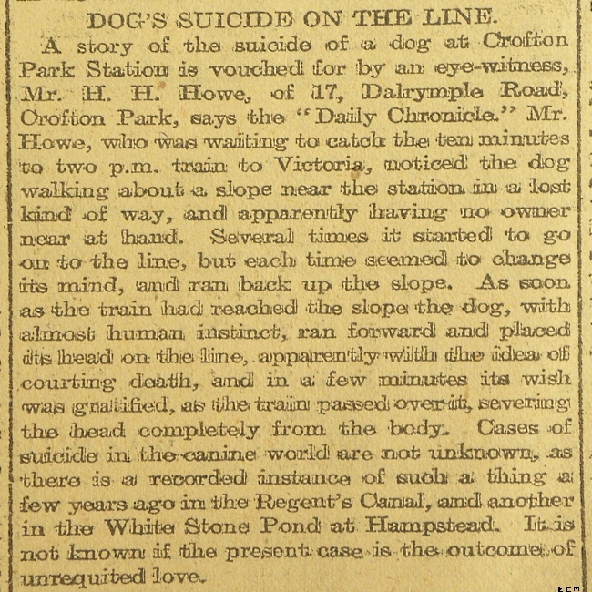 Dog commits suicide 1907.
