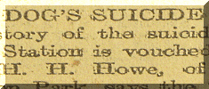 Dog commits suicide 1907.