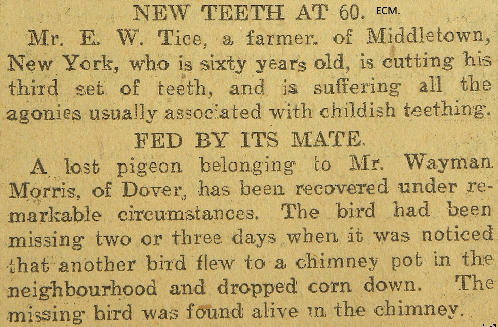 Third set of Teeth at 60.