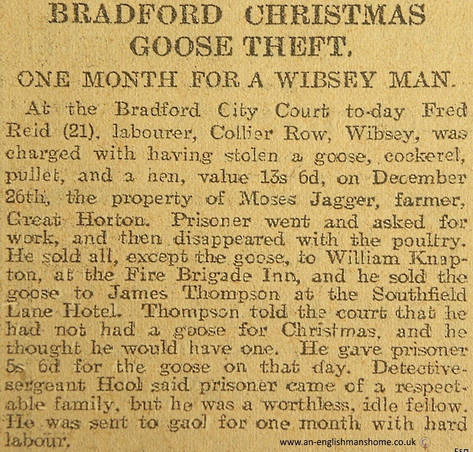 Wibsey Man gets his Goose. 1907