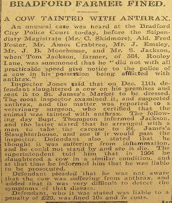 Cow had Anthrax. 1907