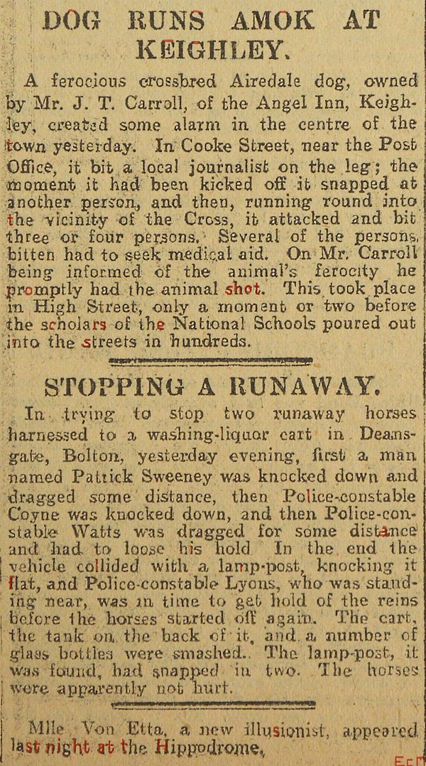 Ferrocious Dog 1907.