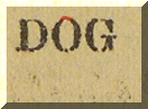 Ferrocious Dog 1907.