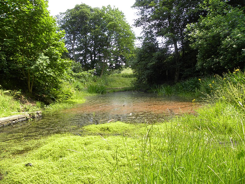 Shibden Hall June 27th 2010.