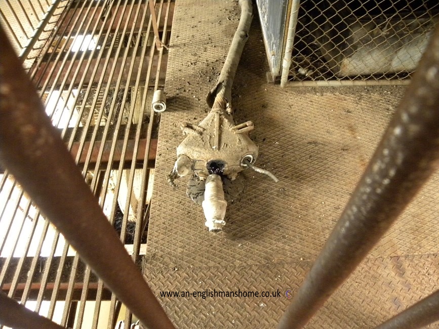 Eldorado Dredge, Austarlia 2015.