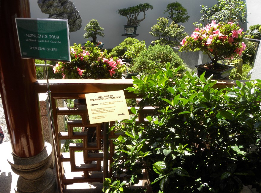 Chinese Garden, Sydney, Australia 2015.