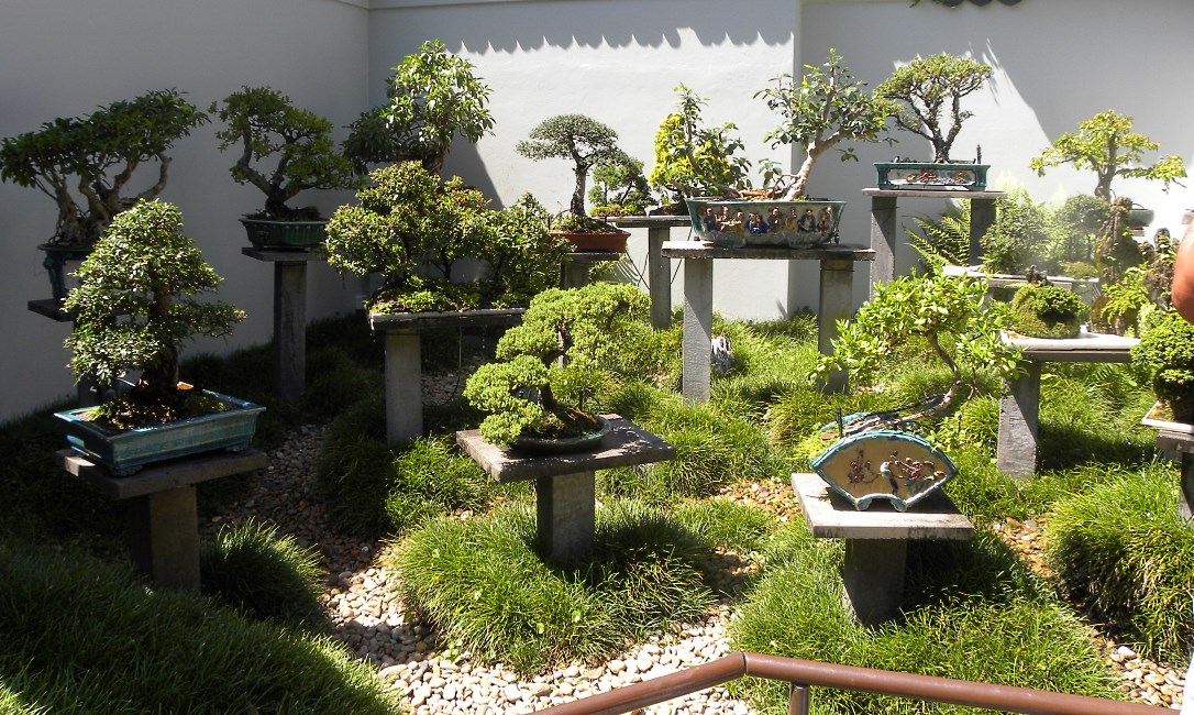 Chinese Garden, Sydney, Australia 2015.