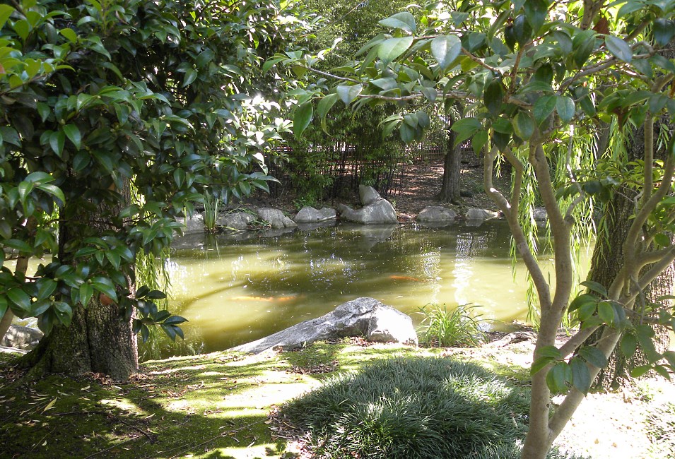 Chinese Garden, Sydney, Australia 2015.