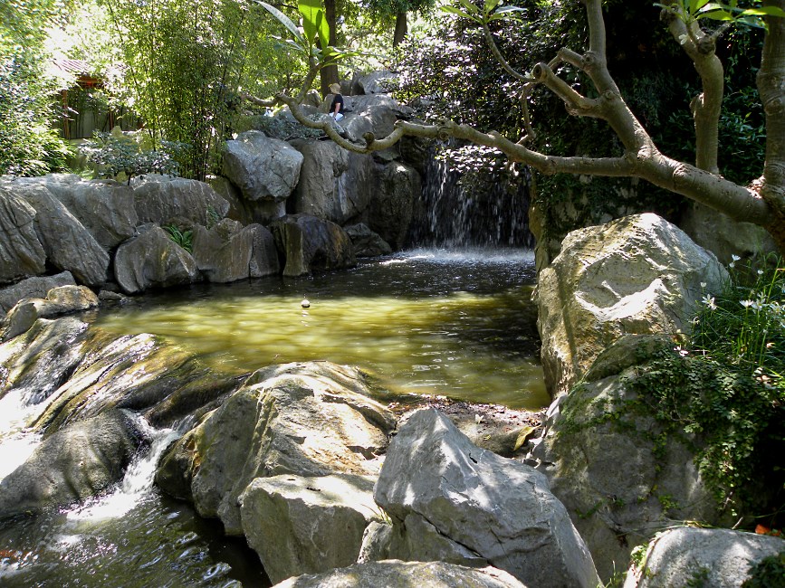 Chinese Garden, Sydney, Australia 2015.