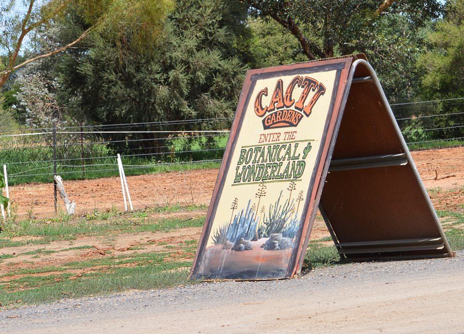 Cactus Farm, Australia 2015.