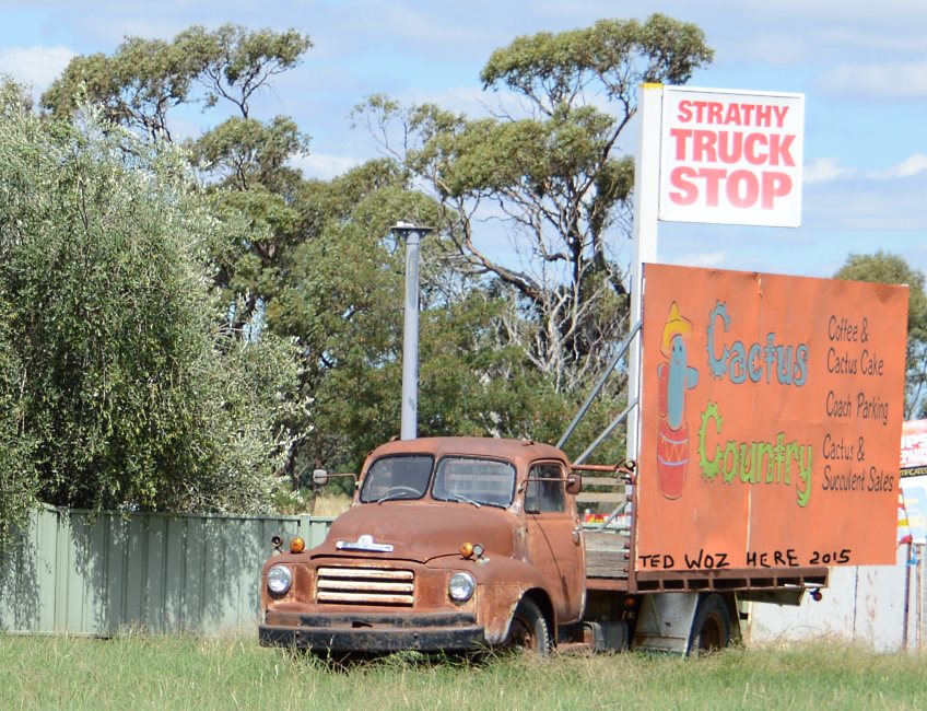 Cactus Farm, Australia 2015.