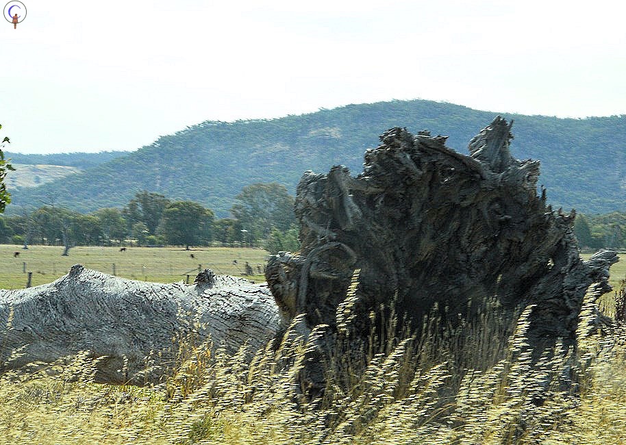 Wangaratta, Australia 2015.