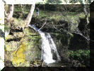 A Waterfall in Shelf Woods.
