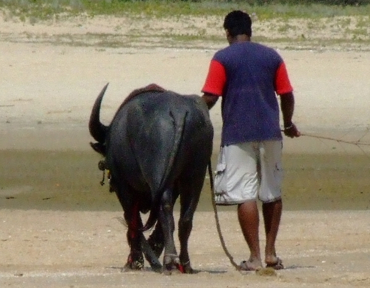 Walking on the beach.