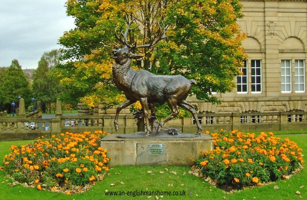 Bronze Stag.