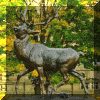 Bronze Stag.