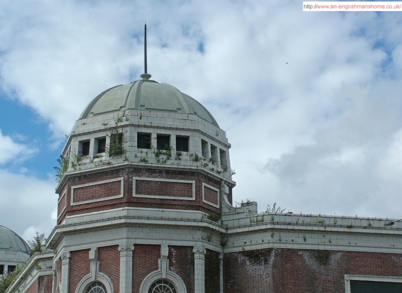 Triffids on the Odeon.