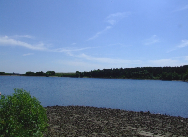 Ogden Water.