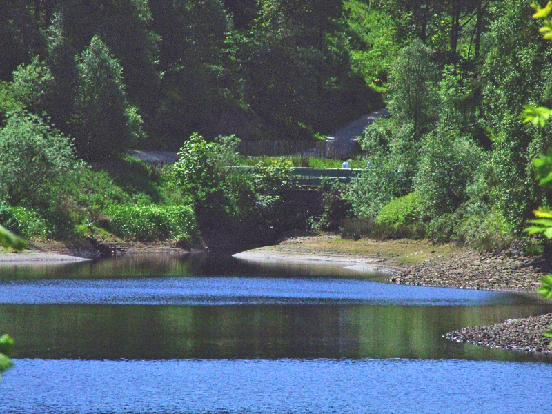 Ogden Water.