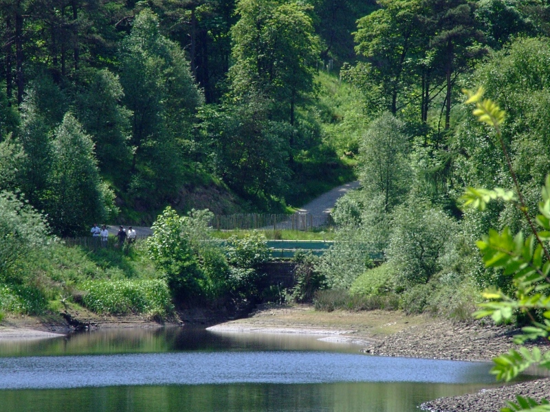 Ogden Water.