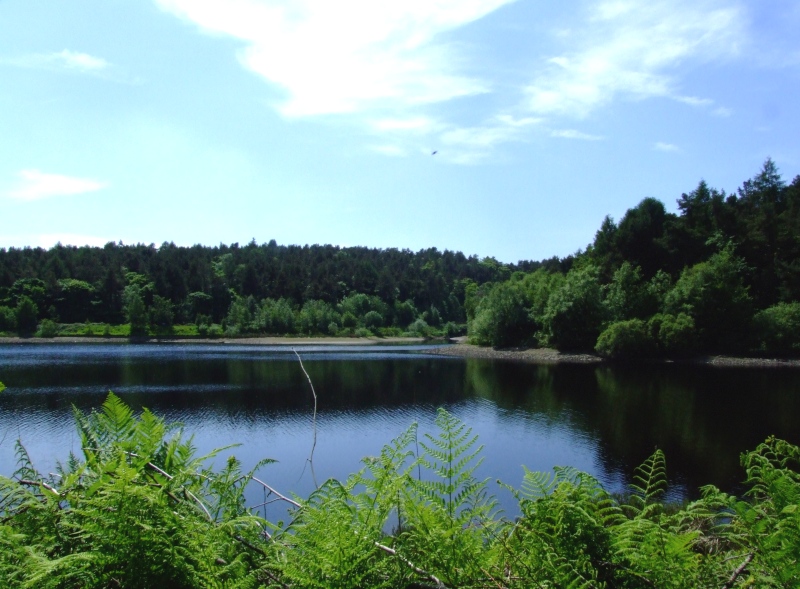 Ogden Water.