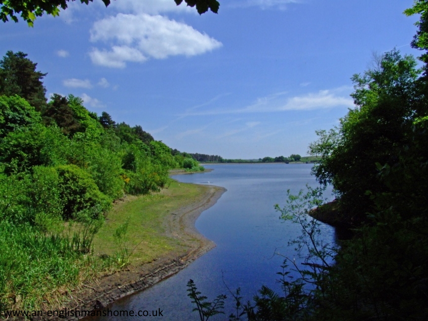 Ogden Water.