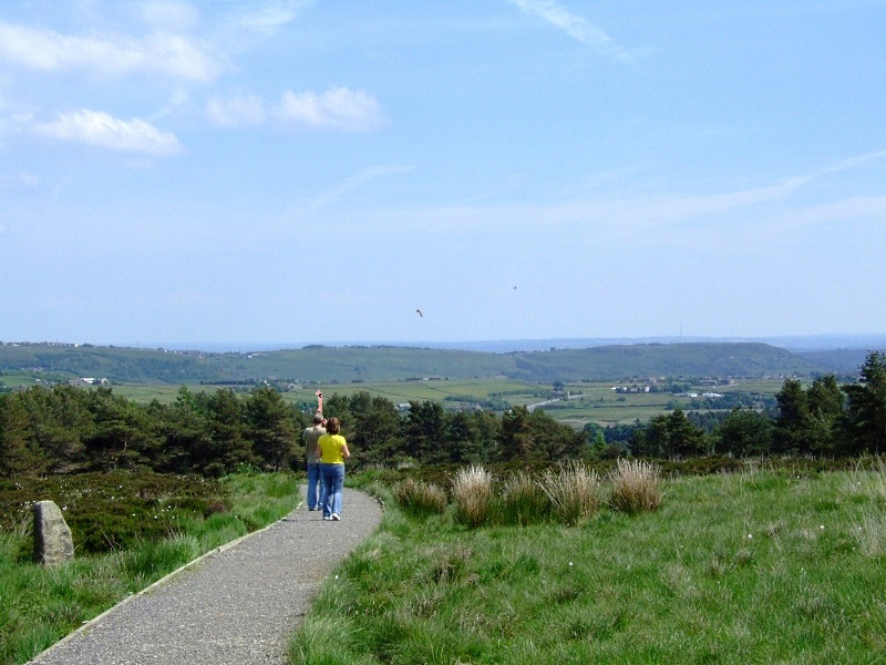 Ogden Water.