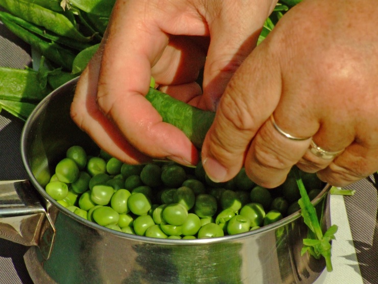 peas 2007