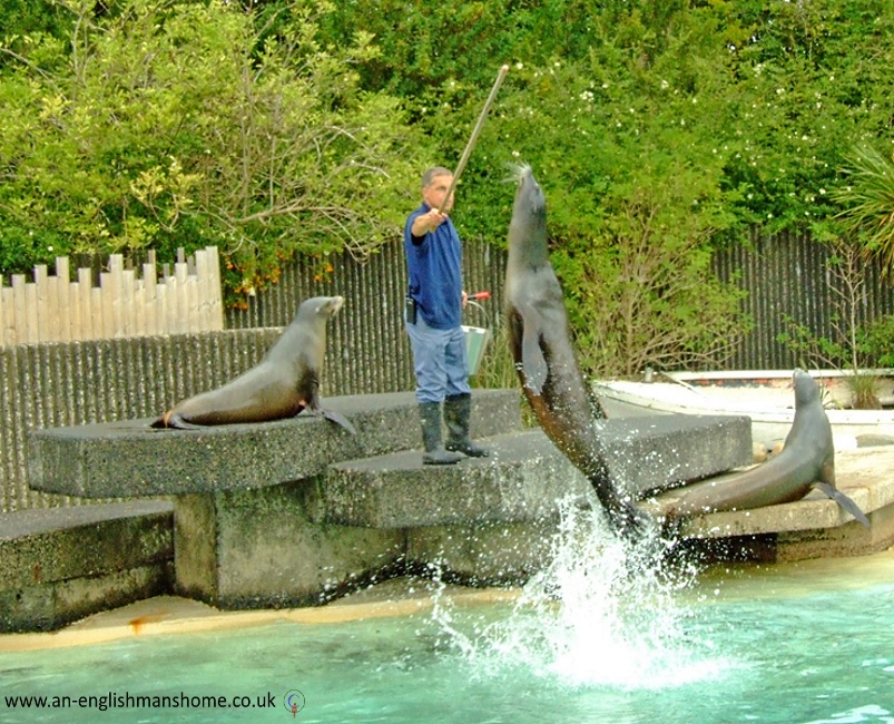 Seals.