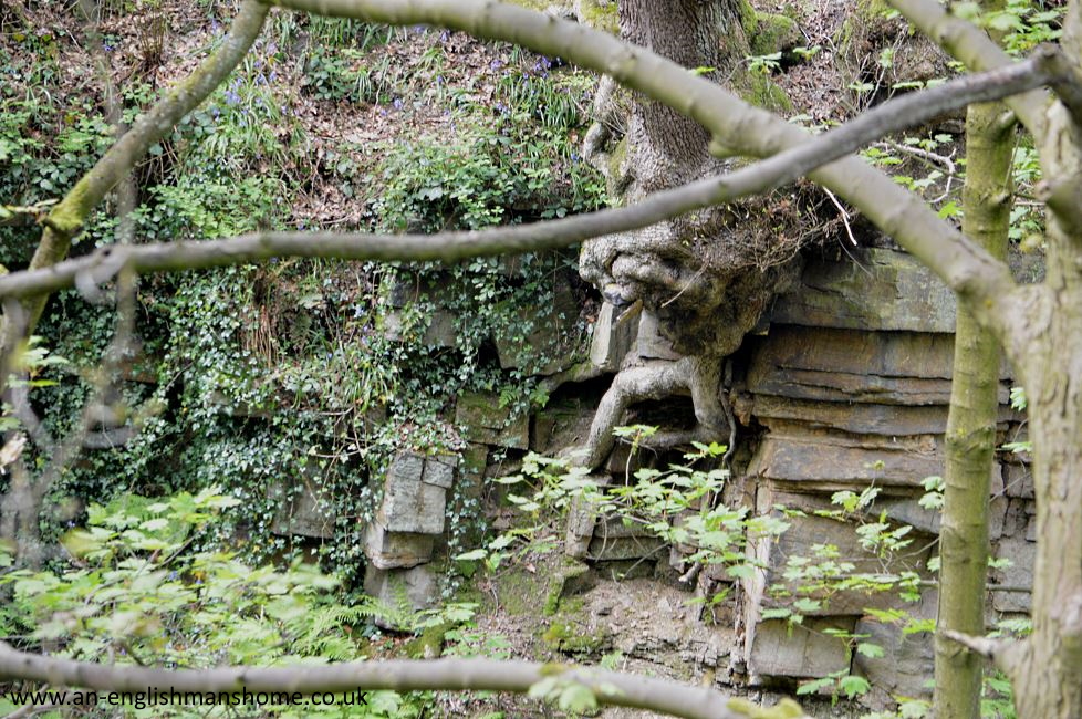 Shelf Park and Woods 2014.