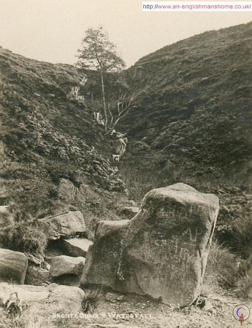 Bronte Chair and Waterface.