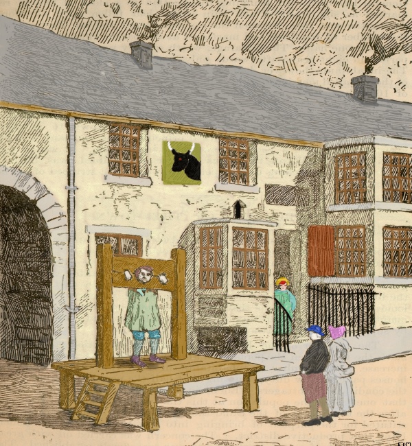 J.F. Rhodes, Bradford, England 1890. Cloured pictures from the Book.