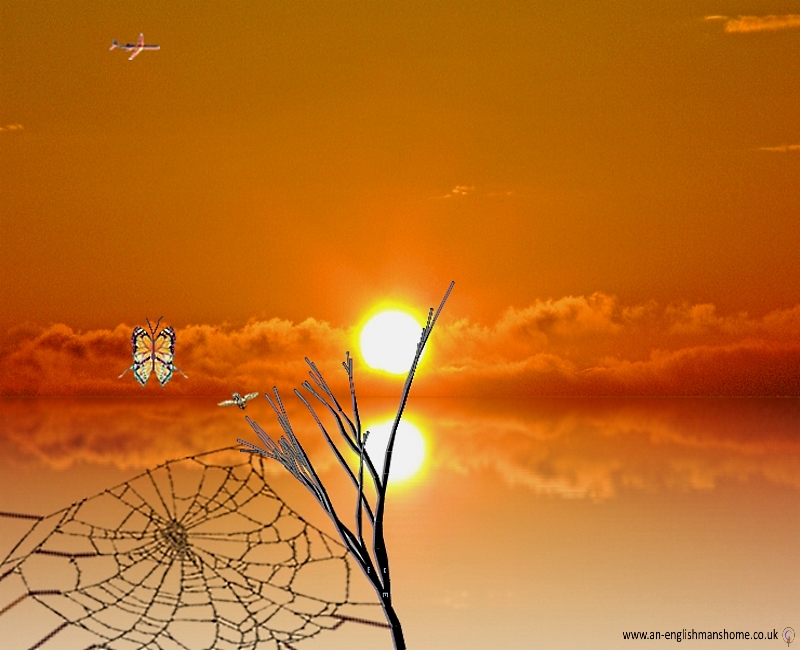 The reflection of the Sun.